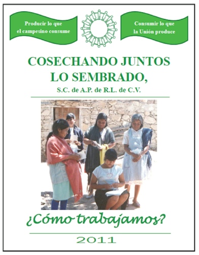 como trabajamos -2019.w.pdf